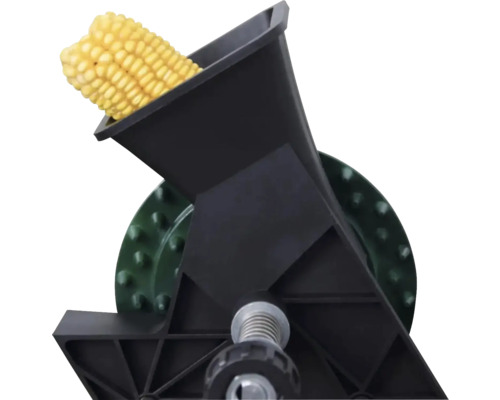 Kukuricový klas v odzrňovači kukurice