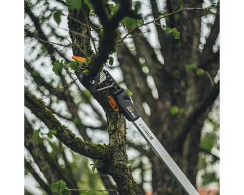 Nožnice na konáre strihajú konár v strome