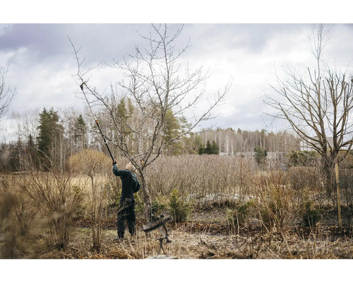 Osoba prerezáva strom záhradnými nožnicami na konáre.