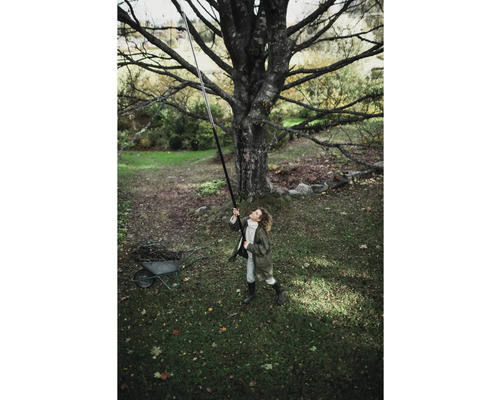 Žena používa nožnice na konáre s teleskopickou tyčou pod stromom v záhrade.