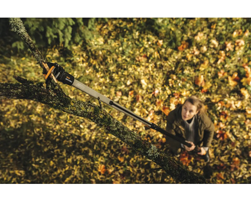 Žena používa nožnice na konáre s teleskopickou násadou na prerezávanie stromu.
