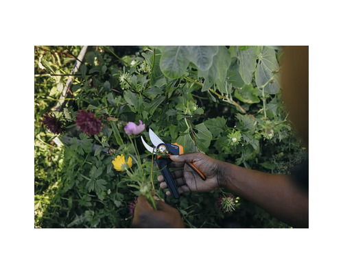 Práca na záhrade so záhradnými nožnicami v záhrade
