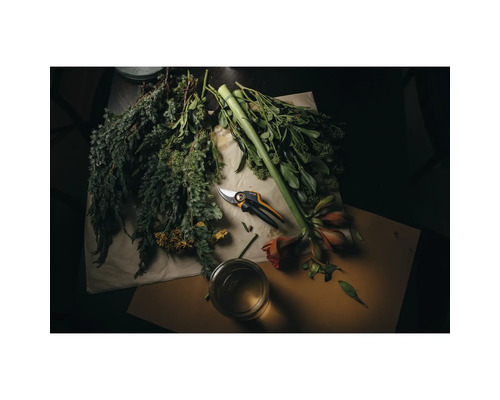 Záhradné nožnice s čerstvými kvetmi a zelenými rastlinami