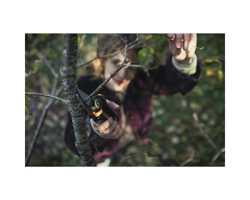 Žena strihá konár záhradnými nožnicami.