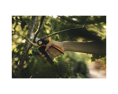 Osoba strihá konár záhradnými nožnicami.