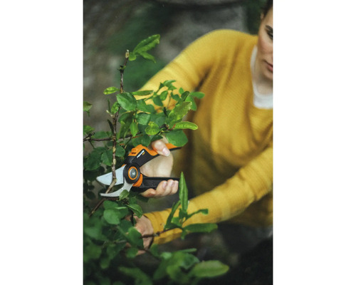 Žena strihá krík záhradnými nožnicami