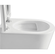 Detailný pohľad na závesné WC s otvoreným záchodovým vekom.