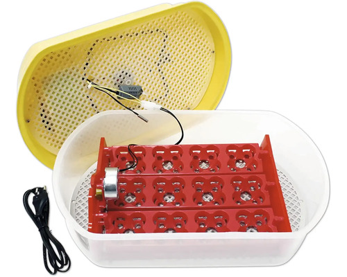 Liaheň so vsadkou na vajcia