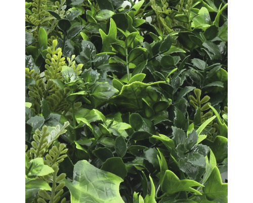 Umelá stena rastlín s rôznymi zelenými listami