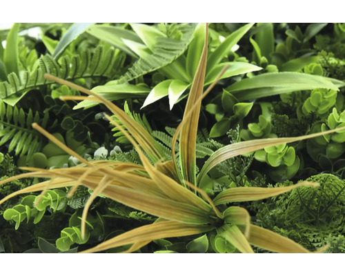 Detail umelej rastlinnej steny s rôznymi zelenými listami