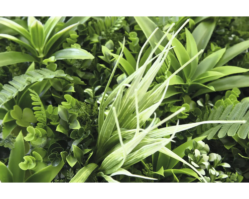 Detailný záber umelej rastlinnej steny s rôznymi zelenými rastlinami