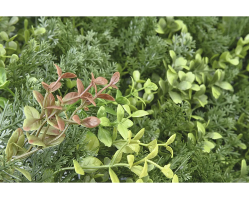 Detail umelej rastlinnej steny s rôznymi odtieňmi zelenej