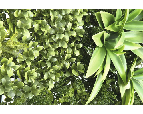 Umelá zelená rastlinná stena s rôznymi štruktúrami listov.