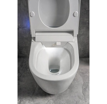 Biela hlboká splachovacia toaleta na montáž na stenu s otvoreným splachovacím okrajom a WC sedadlom