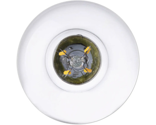 Detailný záber čírej žiarovky