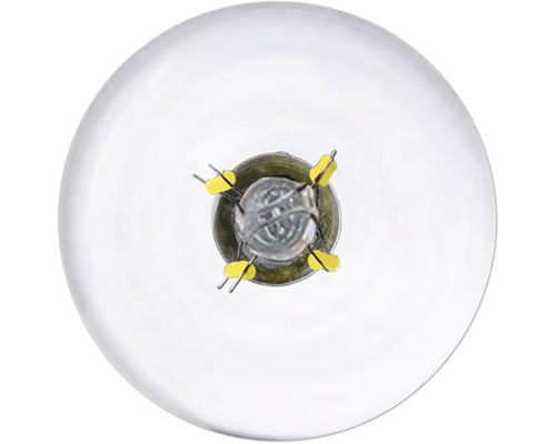 Žiarovka s čírym sklom