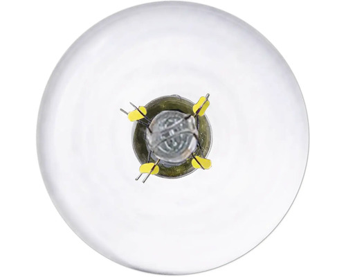 Detailný záber žiarovky zobrazujúci vnútorné súčasti a pripojovacie kolíky