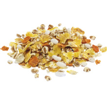 Ingrediencie do müsli s obilnými vločkami, pufovanou ryžou a kúskami mrkvy