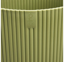 Logo Eho na ryhovanom kvetináči