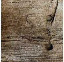 Detail starého dreva so sukmi