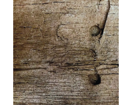 Detail starého dreva so sukmi