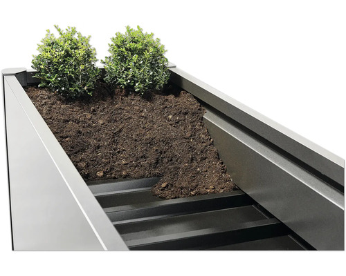 Kvetináč so zeminou a rastlinami