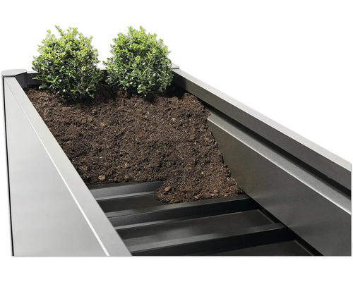 Vyvýšený záhon so zeminou a dvoma malými kríkmi