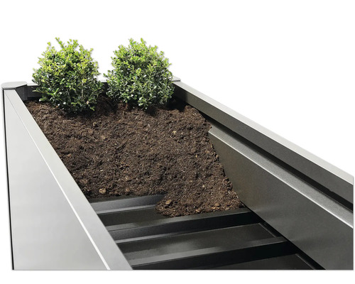 Detailný pohľad na vyvýšený záhon so zeminou a rastlinami