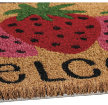 Rohožka so vzorom jahôd a nápisom Vitajte