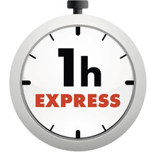 Symbol pre expresné doručenie do jednej hodiny