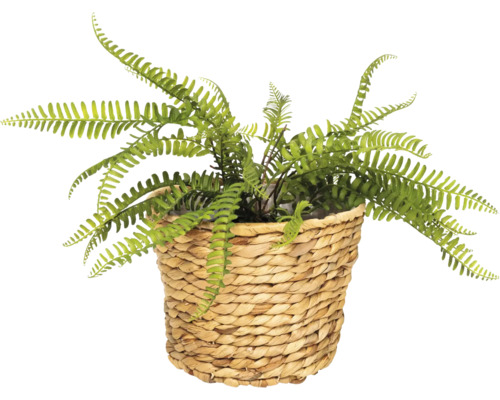 Umelý papradí v prútenom košíku