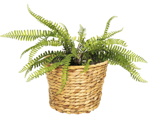 Umelá papraď v prútenom košíku