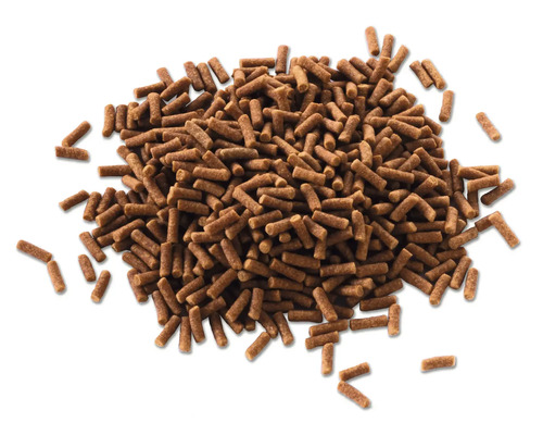 Hromada granúl pre ryby