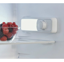 Vnútro chladničky s miskou ovocia a regulátorom teploty