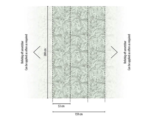 Diagram fototapety s tropickým motívom listov a rozmermi