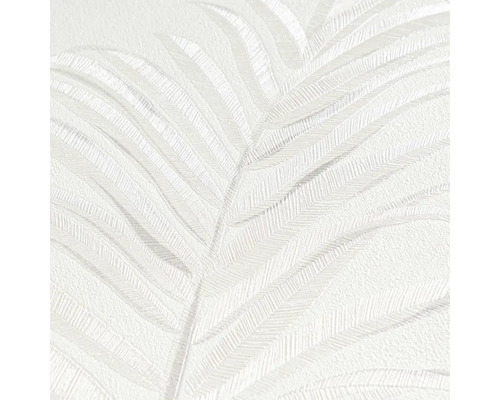 Tapeta so vzorom palmových listov