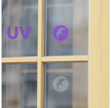 Okno so symbolom ochrany proti UV žiareniu a symbolom ochrany vtáctva