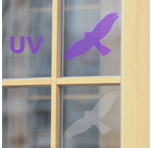 Okná s UV ochrannou fóliou v tvare vtáka