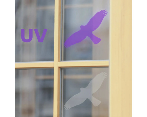 Okná s UV ochrannou fóliou v tvare vtáka