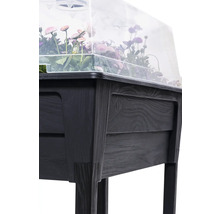 Vyvýšený záhon s priehľadným vekom a rastlinami