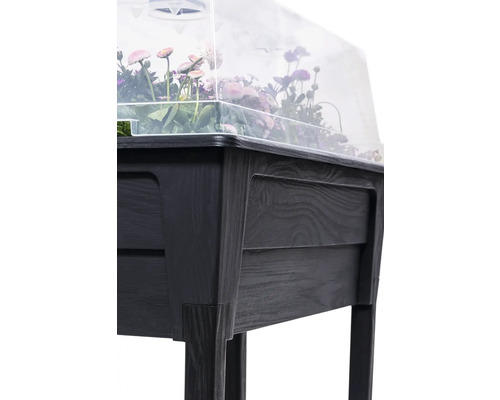 Vyvýšený záhon s priehľadným vekom a rastlinami