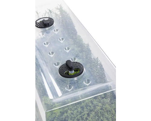 Parenisko s vetraním na pestovanie rastlín