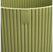 Logo Eho na rebrovanom kvetináči