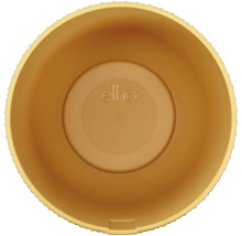 Žltý plastový kvetináč zhora