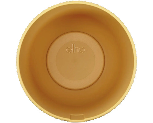 Žltý plastový kvetináč zhora