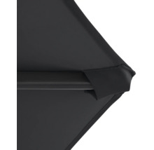 Detailný pohľad na čierny slnečník