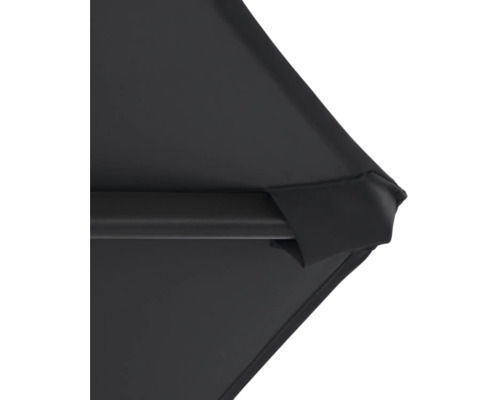 Detailný pohľad na čierny slnečník