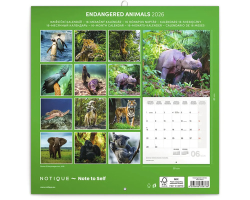 Kalendár Notique Endangered Animals 2026 s obrázkami zvierat