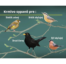 Obrázok rôznych druhov vtákov na konároch