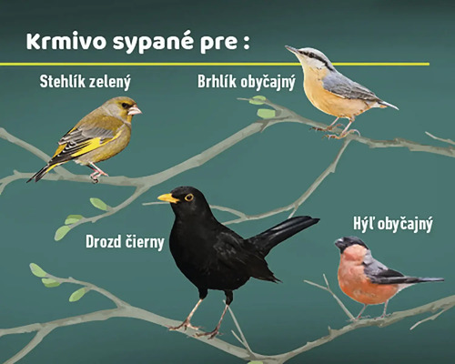 Obrázok rôznych druhov vtákov na konároch